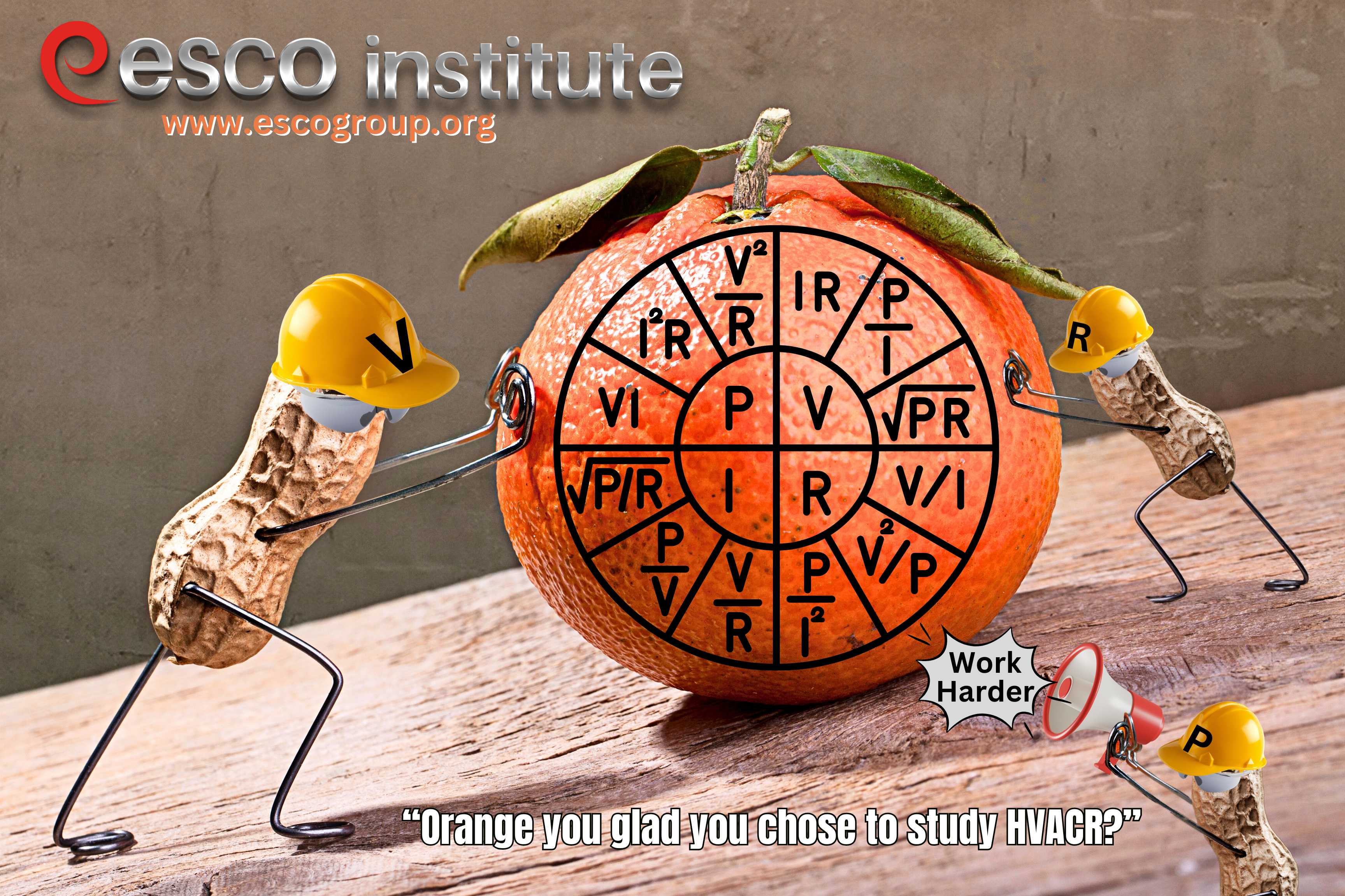Ohm's Law Classroom Poster